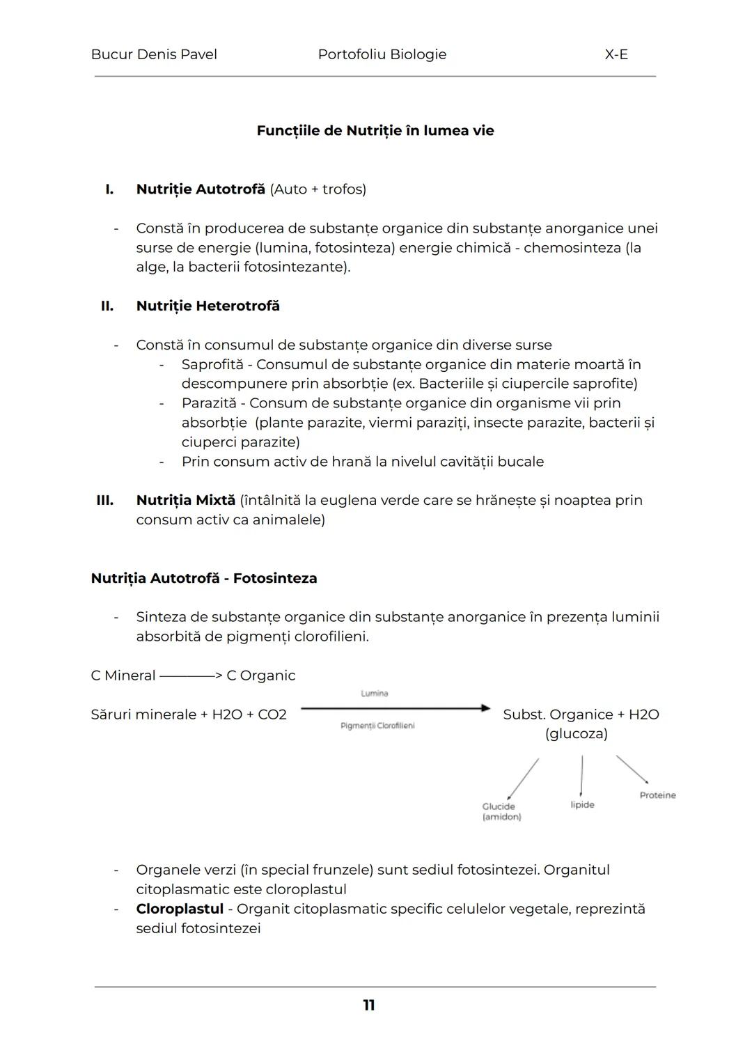 --- OCR Start ---
Bucur Denis Pavel
Portofoliu Biologie
X-E
TESUTURILE
Grupări de celule cu aceeaşi alcătuire și același rol
1.
Tesuturile v