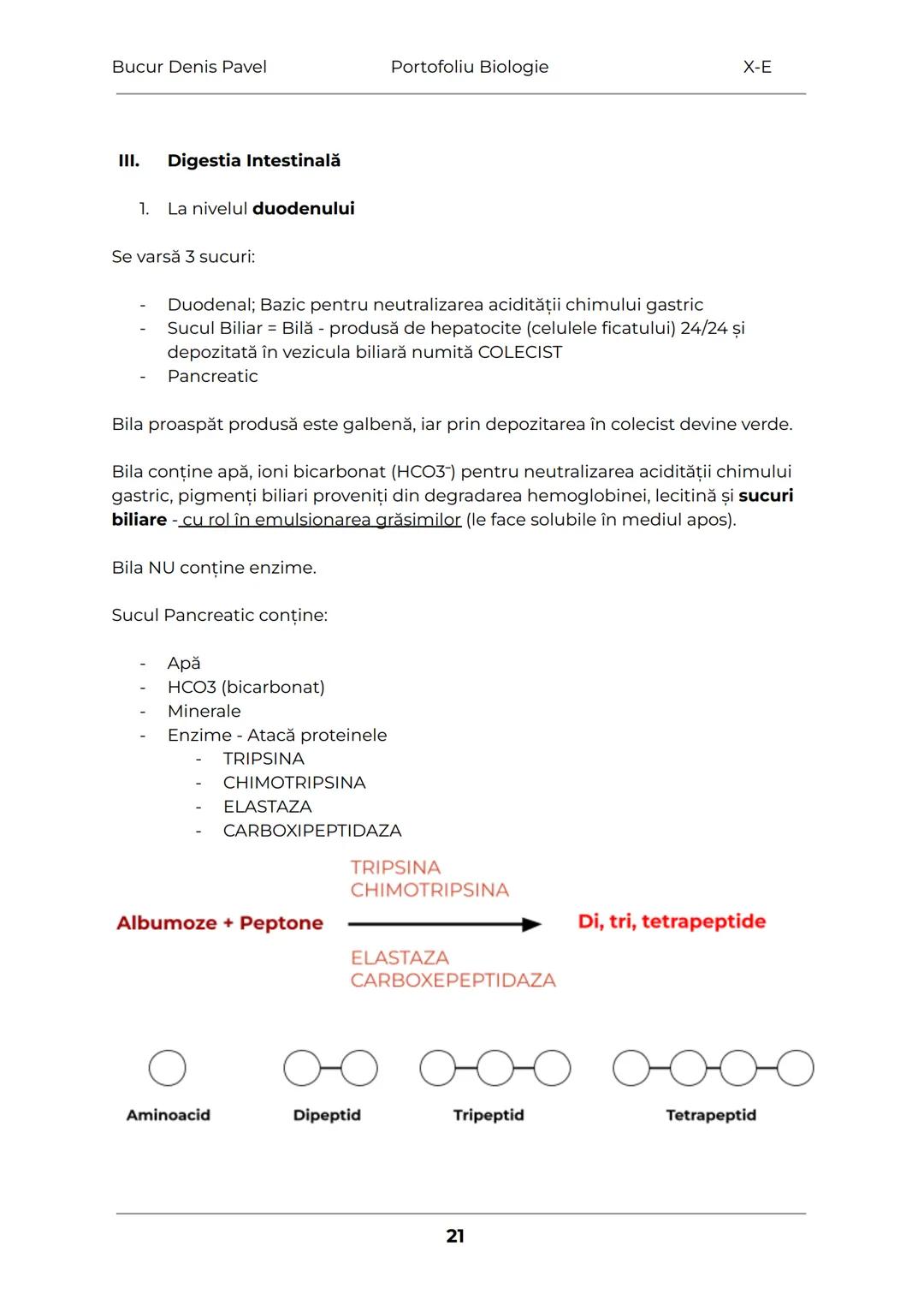 --- OCR Start ---
Bucur Denis Pavel
Portofoliu Biologie
X-E
TESUTURILE
Grupări de celule cu aceeaşi alcătuire și același rol
1.
Tesuturile v