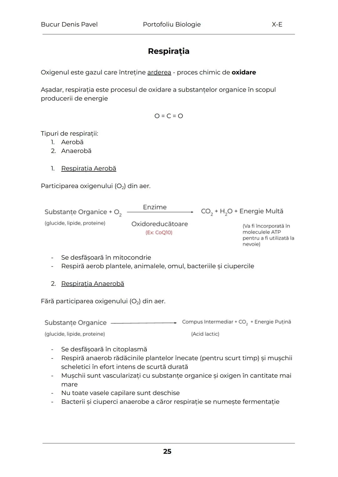 --- OCR Start ---
Bucur Denis Pavel
Portofoliu Biologie
X-E
TESUTURILE
Grupări de celule cu aceeaşi alcătuire și același rol
1.
Tesuturile v