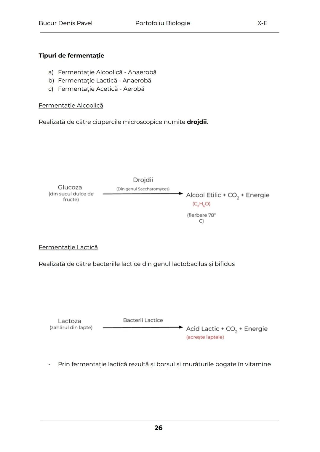 --- OCR Start ---
Bucur Denis Pavel
Portofoliu Biologie
X-E
TESUTURILE
Grupări de celule cu aceeaşi alcătuire și același rol
1.
Tesuturile v