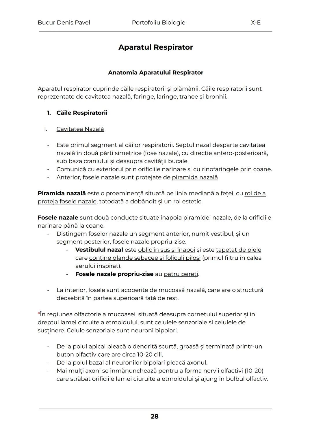 --- OCR Start ---
Bucur Denis Pavel
Portofoliu Biologie
X-E
TESUTURILE
Grupări de celule cu aceeaşi alcătuire și același rol
1.
Tesuturile v