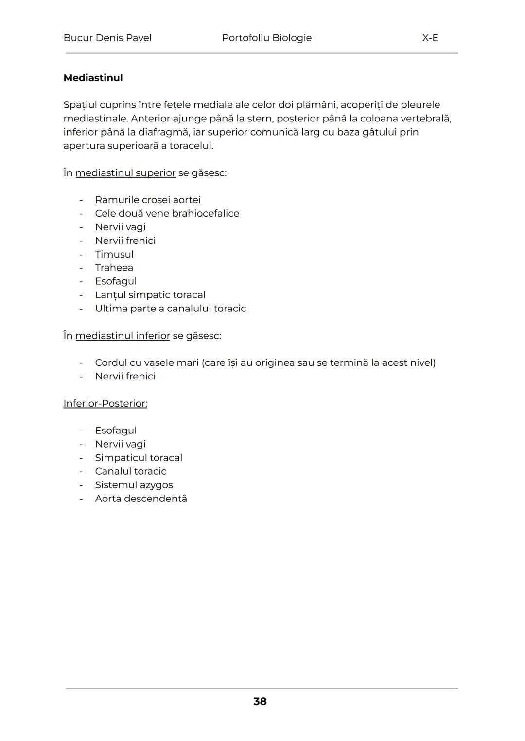 --- OCR Start ---
Bucur Denis Pavel
Portofoliu Biologie
X-E
TESUTURILE
Grupări de celule cu aceeaşi alcătuire și același rol
1.
Tesuturile v