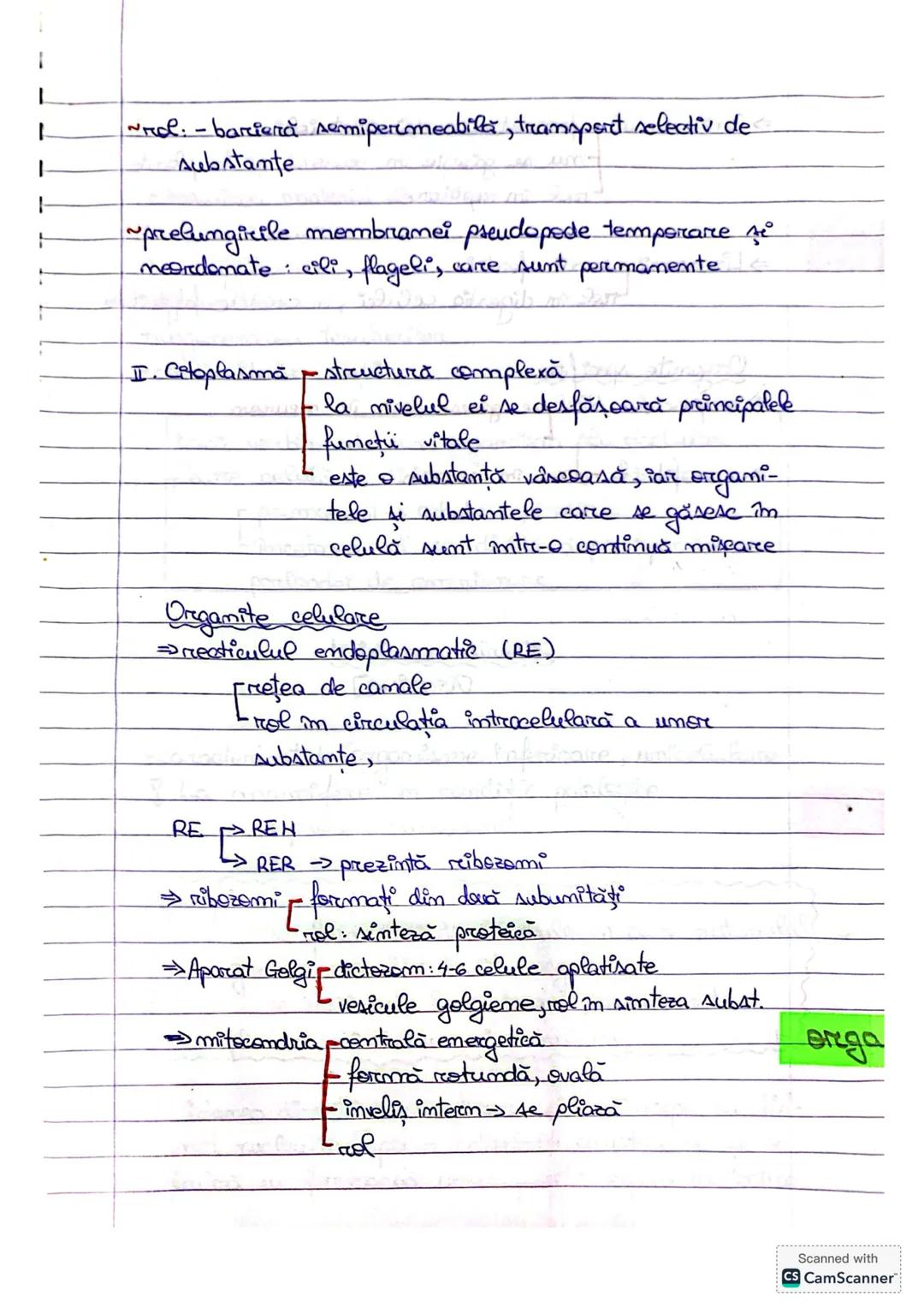 --- OCR Start ---
Celula eucariotă
M
C_{e}l_{4}l_{a} eucariotă poate fi
vegetala
animală
-se întâlneşte la fungi, animale, plante
prezintă n