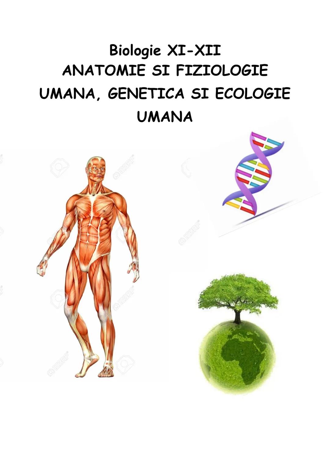 # Biologie XI-XII
# ANATOMIE SI FIZIOLOGIE
# UMANA, GENETICA SI ECOLOGIE
# UMANA --- OCR Start ---
CAPITOLUL I. ALCATUIREA CORPULUI UMAN
SEG