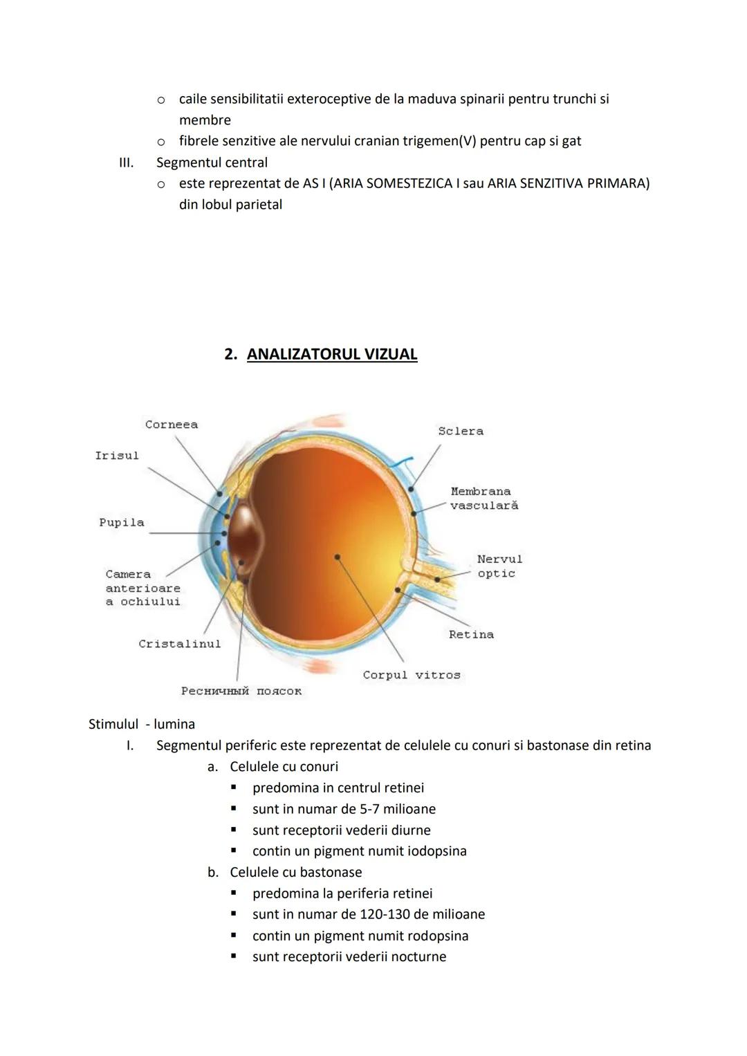 # Biologie XI-XII
# ANATOMIE SI FIZIOLOGIE
# UMANA, GENETICA SI ECOLOGIE
# UMANA --- OCR Start ---
CAPITOLUL I. ALCATUIREA CORPULUI UMAN
SEG