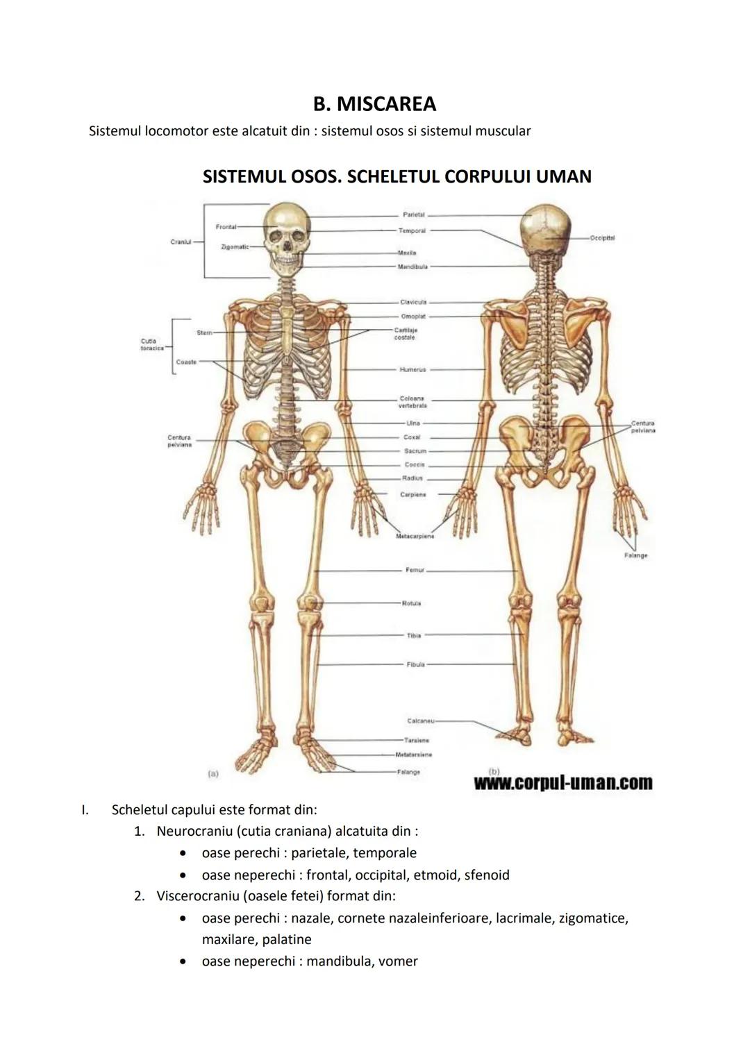 # Biologie XI-XII
# ANATOMIE SI FIZIOLOGIE
# UMANA, GENETICA SI ECOLOGIE
# UMANA --- OCR Start ---
CAPITOLUL I. ALCATUIREA CORPULUI UMAN
SEG