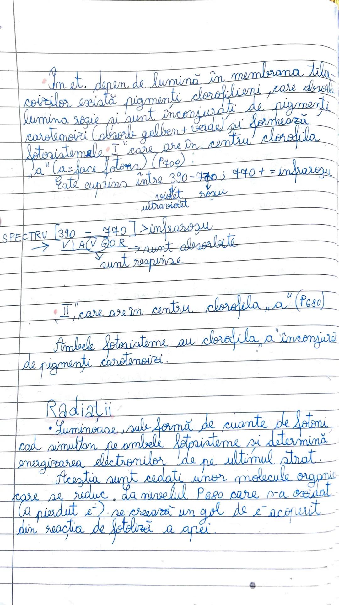 Functüle de nutritie
18-11-2024
Nutritiva este de ztipuri:
1) autotrofă (se realizează prin fotosinteză si
2) heterotrofă chemosinteză).
↳ c