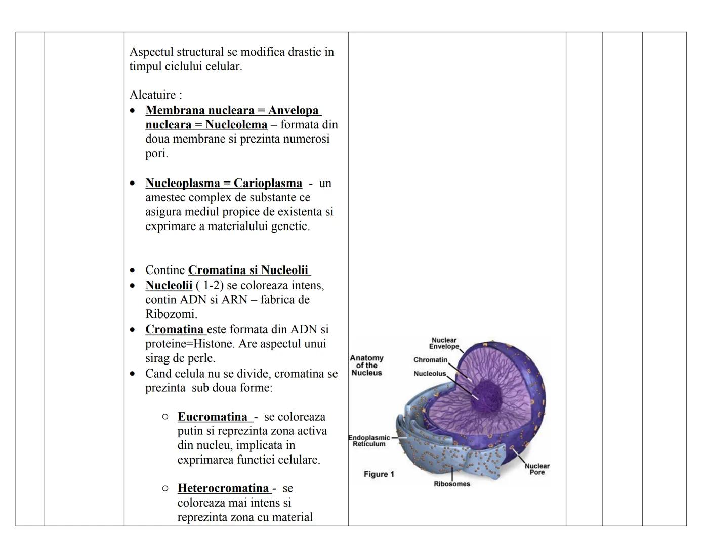 # CELULA EUCARIOΤΑ
| N | DENUMIRE | STRUCTURA | FUNCTIE | PK. | EK. VEG | EK. ANM |
|---|---|---|---|---|---|---|
| RC | | | | | | |