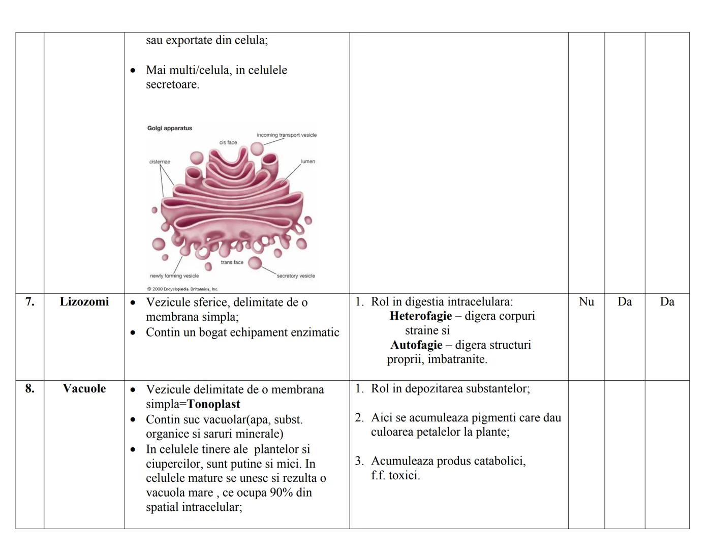 # CELULA EUCARIOΤΑ
| N | DENUMIRE | STRUCTURA | FUNCTIE | PK. | EK. VEG | EK. ANM |
|---|---|---|---|---|---|---|
| RC | | | | | | |