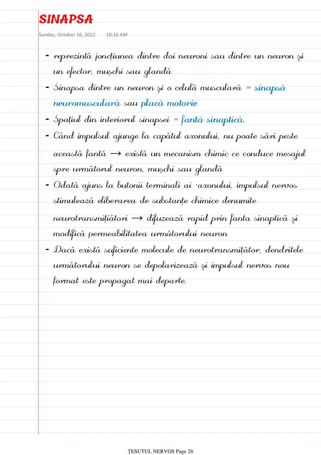 # ȚESUTUL NERVOS
Saturday, October 8, 2022 12:26 PM
- Sistemul nervos → coordonează procesele complexe ce au loc în
mediul intern al organi