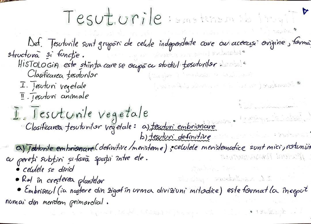 Țesuturile vegetale și animale