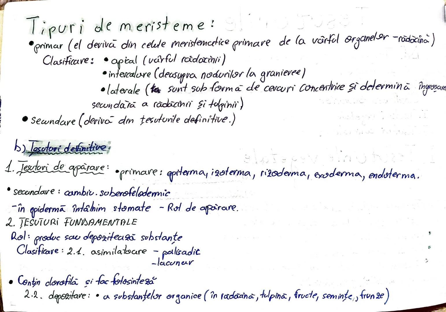 --- OCR Start ---
Tesuturile:
Iamstenom sto frugil
Def. Tesuturile sunt grupări de celule independente care au aceeasi origine, formà
struct