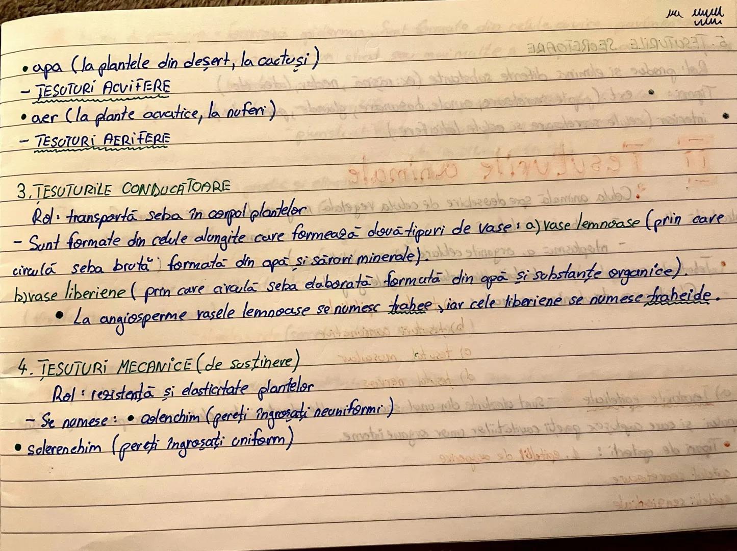 --- OCR Start ---
Tesuturile:
Iamstenom sto frugil
Def. Tesuturile sunt grupări de celule independente care au aceeasi origine, formà
struct