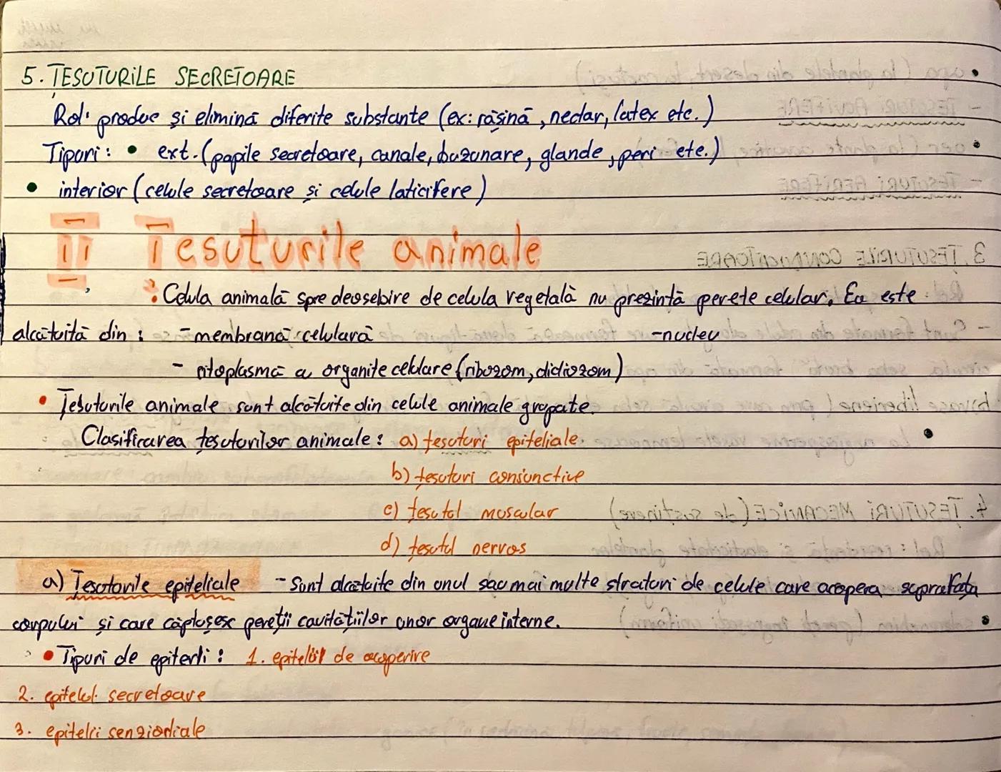 --- OCR Start ---
Tesuturile:
Iamstenom sto frugil
Def. Tesuturile sunt grupări de celule independente care au aceeasi origine, formà
struct