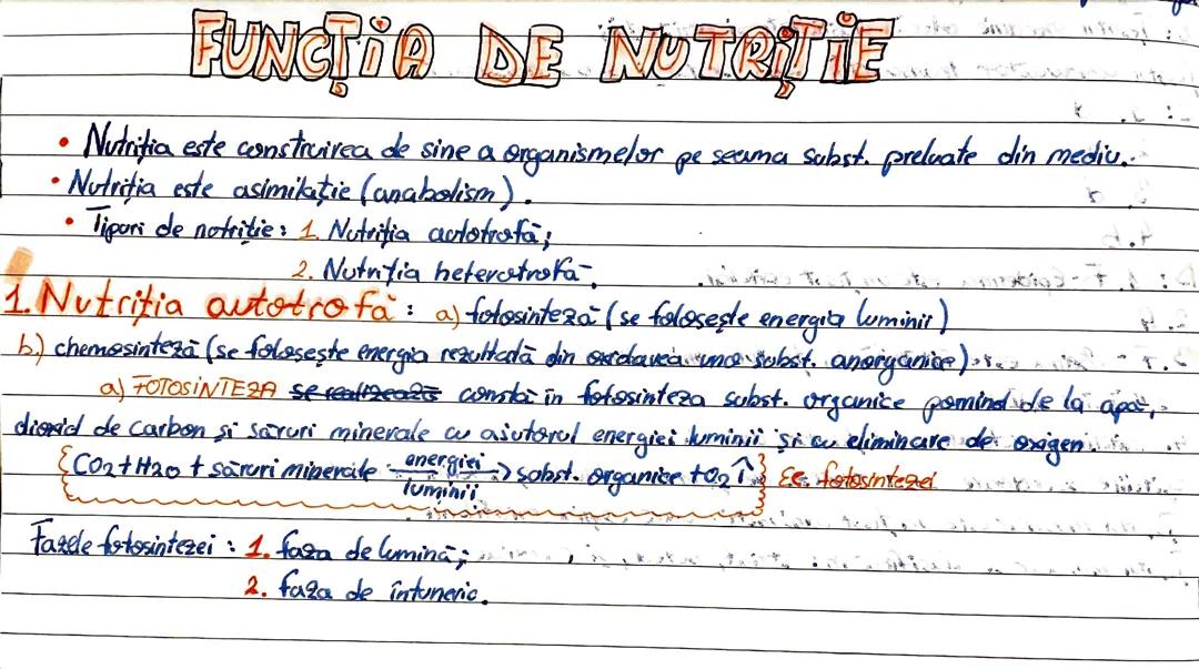 Funcția de nutriție