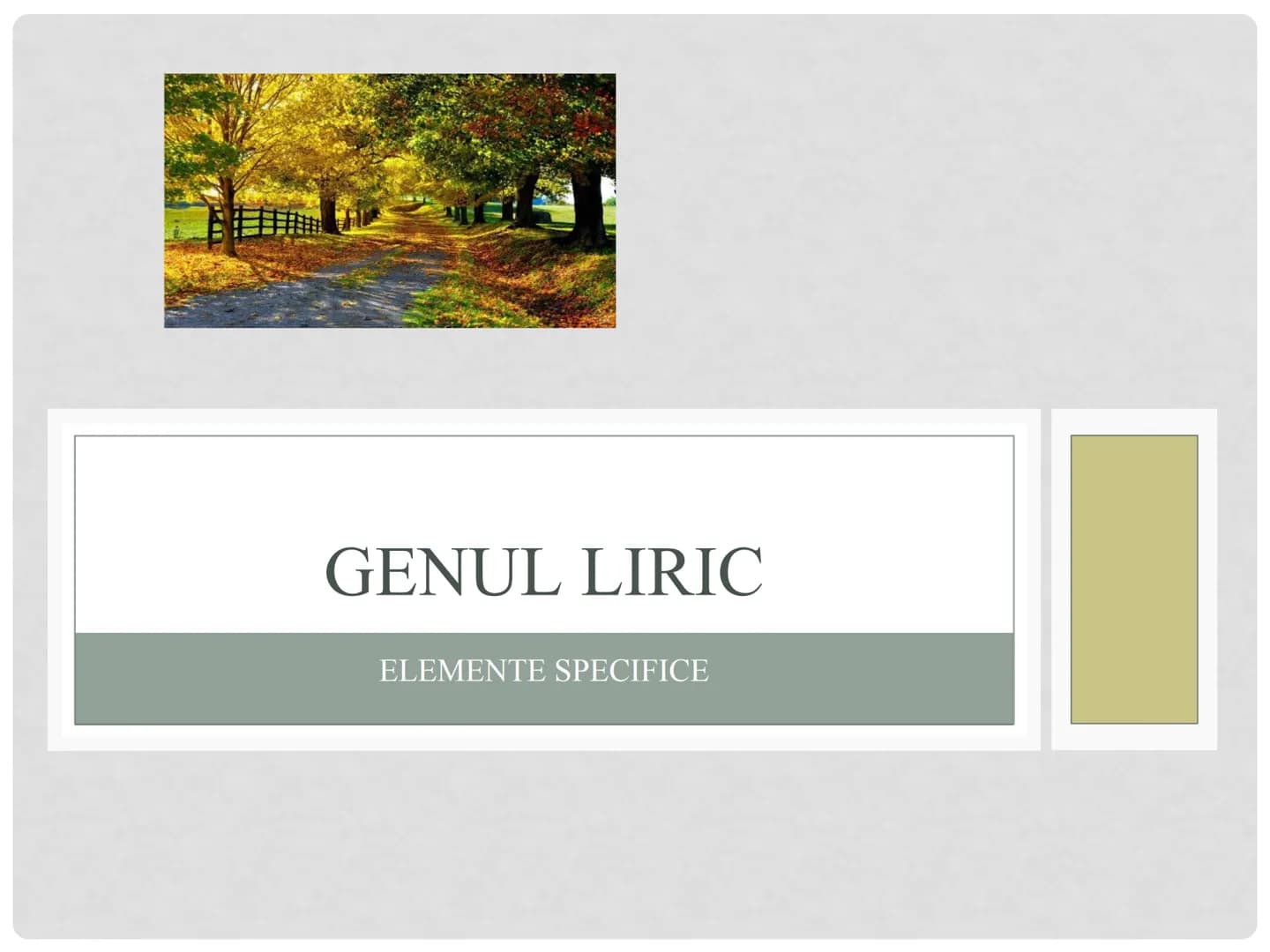 # GENUL LIRIC
ELEMENTE SPECIFICE ETIMOLOGIE
• termenul de poezie provine din fr. poesie, lat. poesis, gr.
poiesis, „creaţie", iar cuvântul