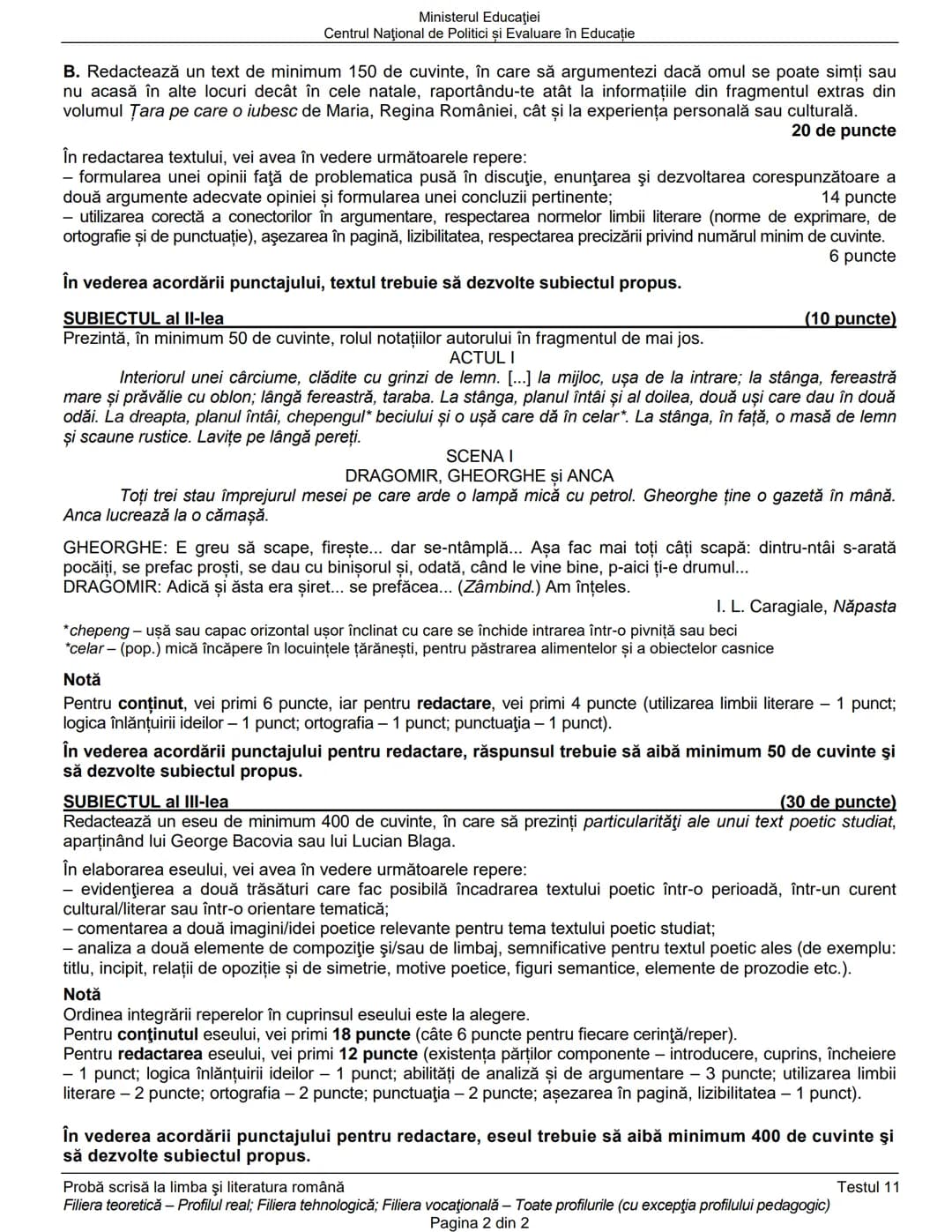 Ministerul Educaţiei
Centrul Naţional de Politici și Evaluare în Educaţie
Examenul național de bacalaureat 2021
Proba E. a)
Limba şi literat