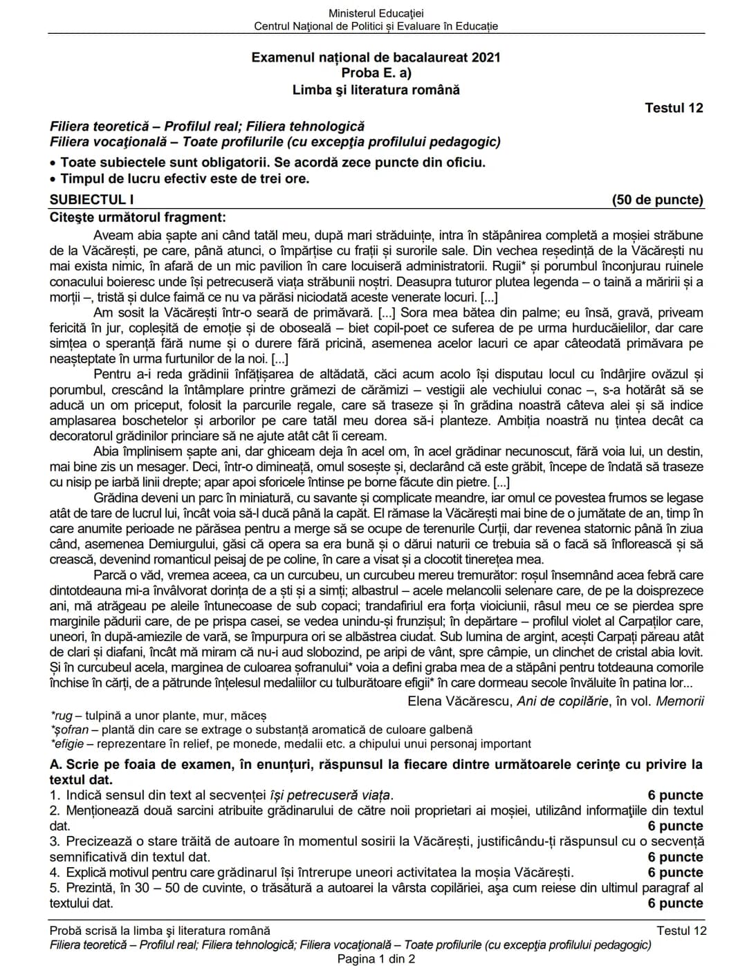 Ministerul Educaţiei
Centrul Naţional de Politici și Evaluare în Educaţie
Examenul național de bacalaureat 2021
Proba E. a)
Limba şi literat