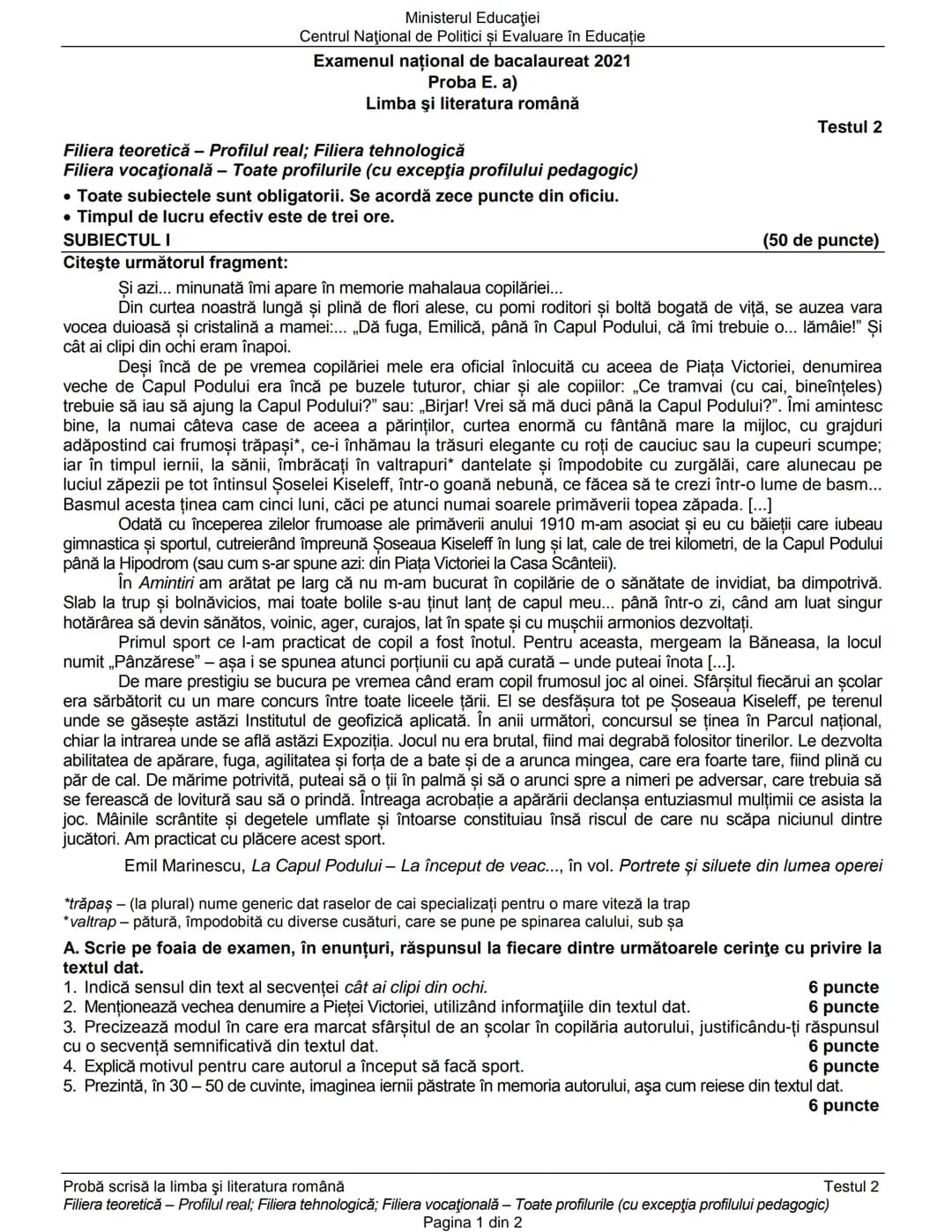 Ministerul Educaţiei
Centrul Naţional de Politici și Evaluare în Educaţie
Examenul național de bacalaureat 2021
Proba E. a)
Limba şi literat