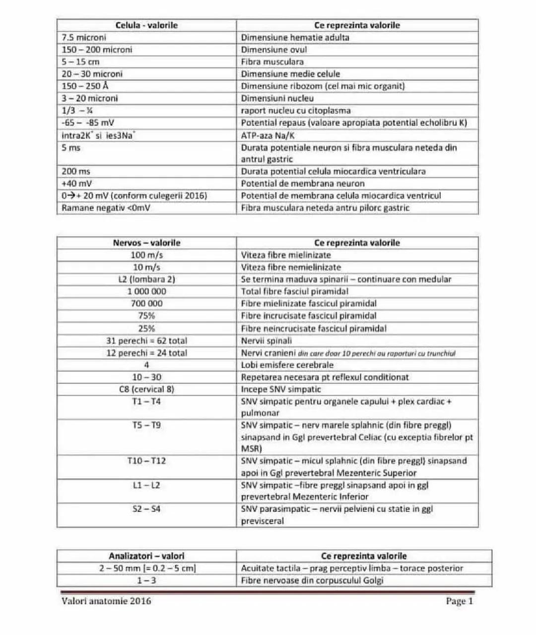 Valori numerice corint