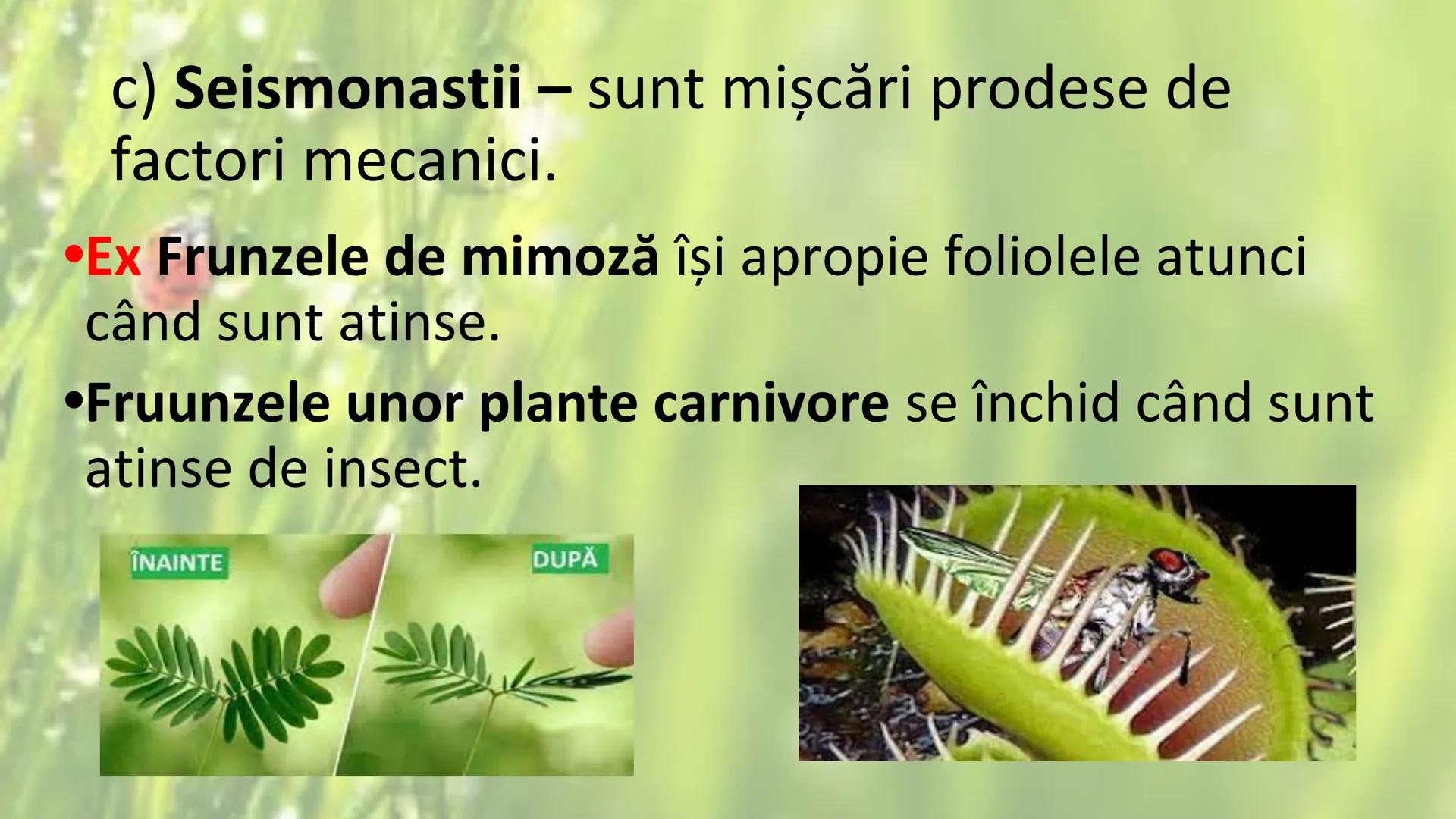 # SENSIBILITATEA ŞI
# MIŞCAREA LA PLANTE --- OCR Start ---
Sensibilitatea și mișcarea
Sensibilitatea - este proprietatea organismelor de a
r