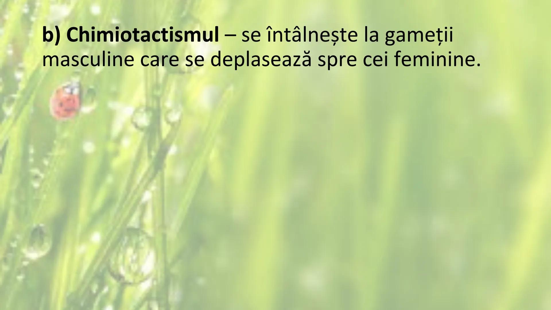 # SENSIBILITATEA ŞI
# MIŞCAREA LA PLANTE --- OCR Start ---
Sensibilitatea și mișcarea
Sensibilitatea - este proprietatea organismelor de a
r
