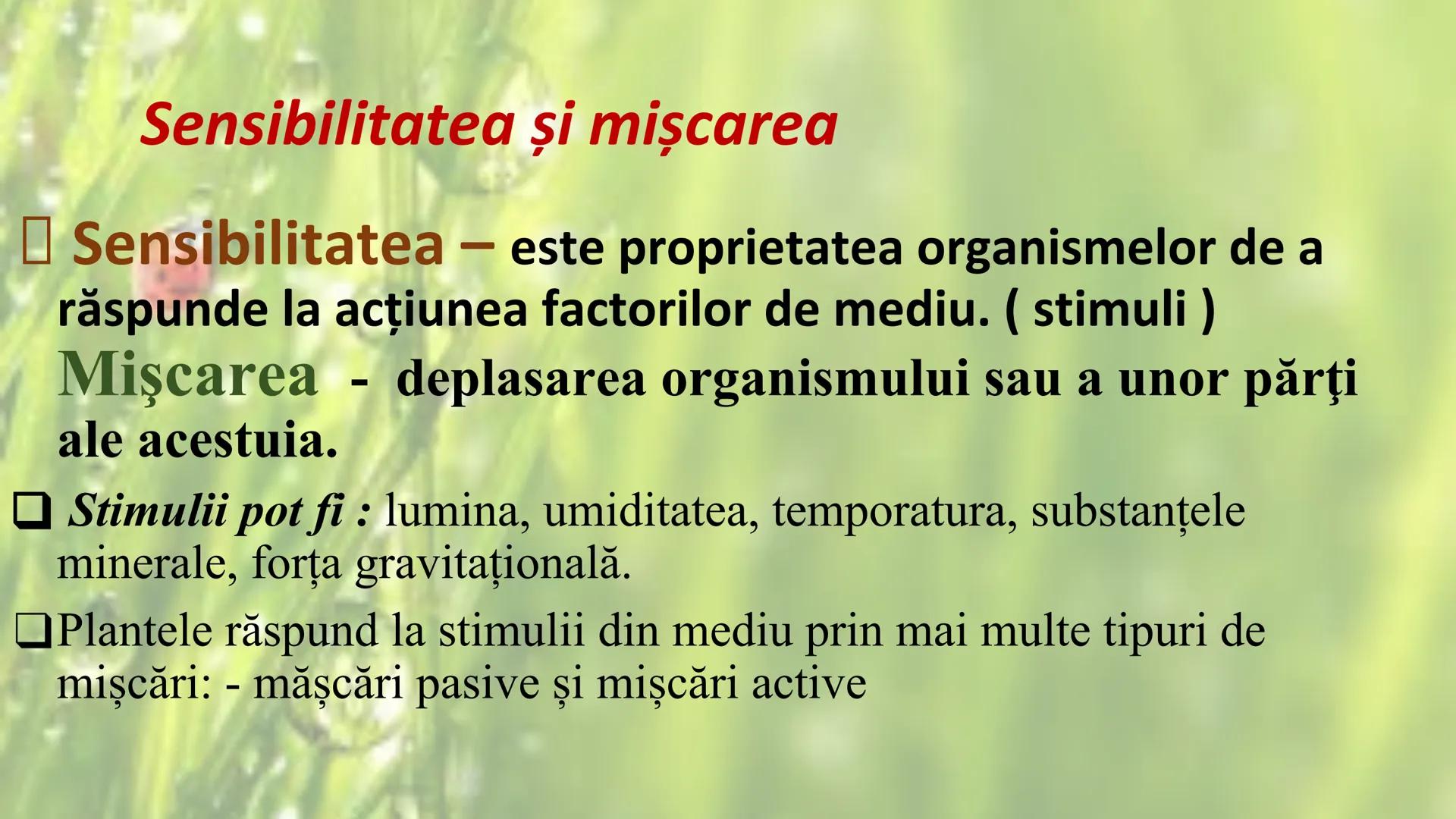 # SENSIBILITATEA ŞI
# MIŞCAREA LA PLANTE --- OCR Start ---
Sensibilitatea și mișcarea
Sensibilitatea - este proprietatea organismelor de a
r