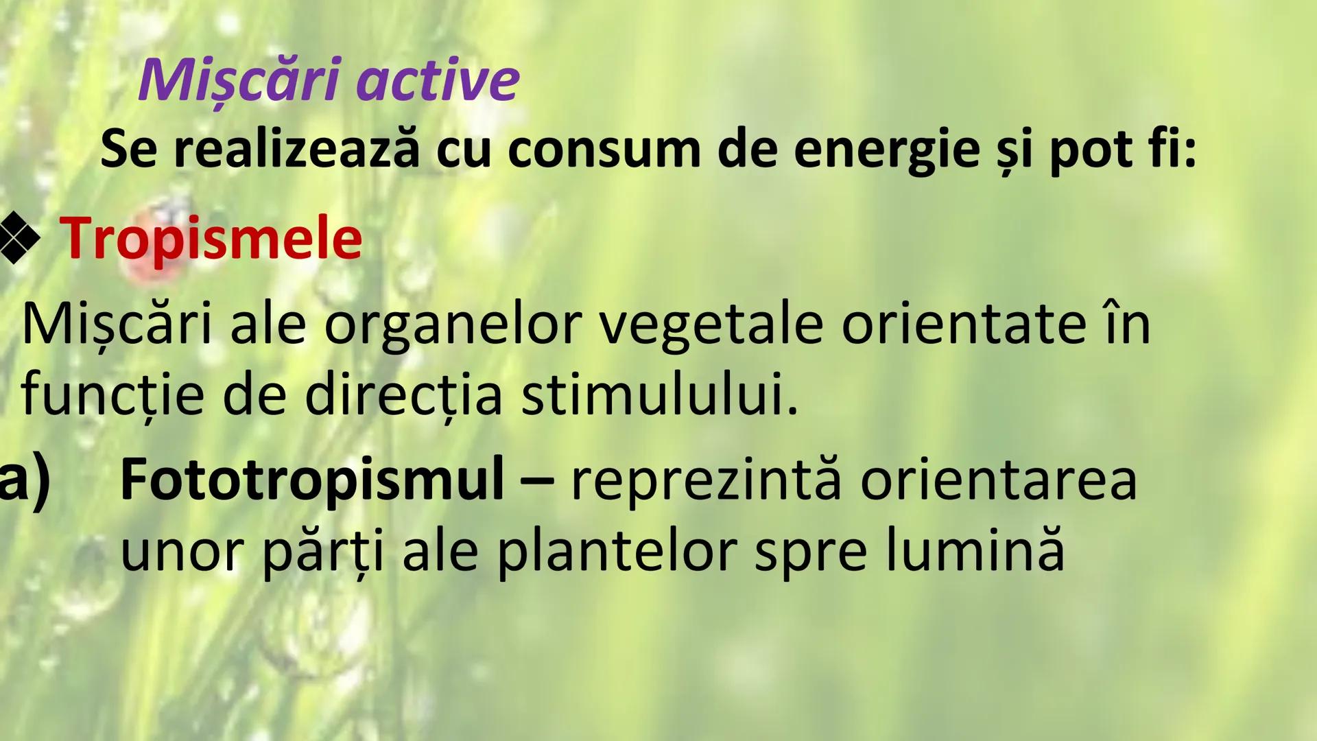 # SENSIBILITATEA ŞI
# MIŞCAREA LA PLANTE --- OCR Start ---
Sensibilitatea și mișcarea
Sensibilitatea - este proprietatea organismelor de a
r