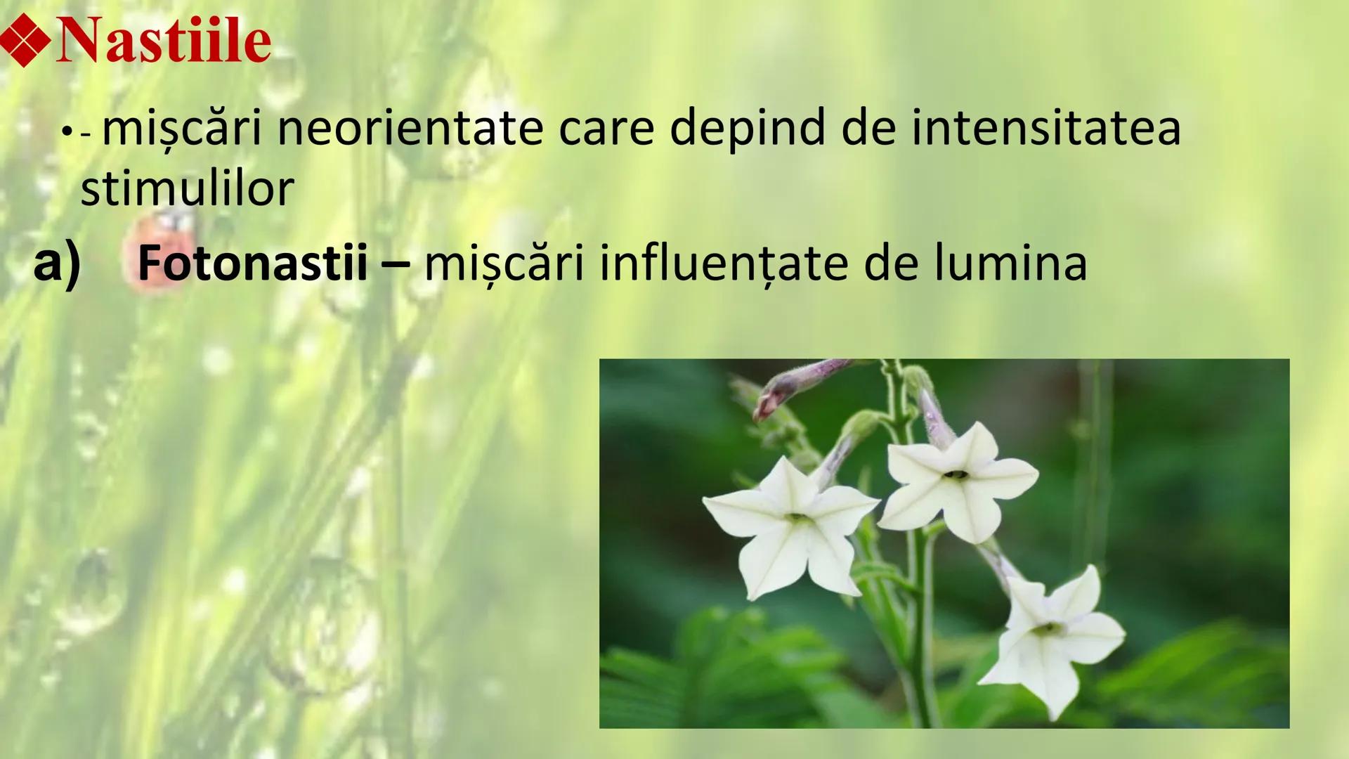 # SENSIBILITATEA ŞI
# MIŞCAREA LA PLANTE --- OCR Start ---
Sensibilitatea și mișcarea
Sensibilitatea - este proprietatea organismelor de a
r