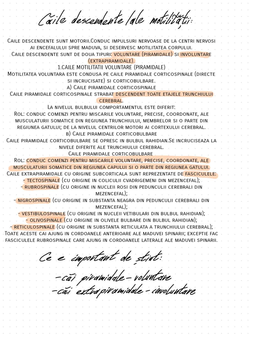 --- OCR Start ---
SISTEMUL NERVOS
HEY, YOU DROPPED
THIS
Clasificave:
din punct de vedere functional:
→SNS(sistem nervos simpatic)
→SNV(sist