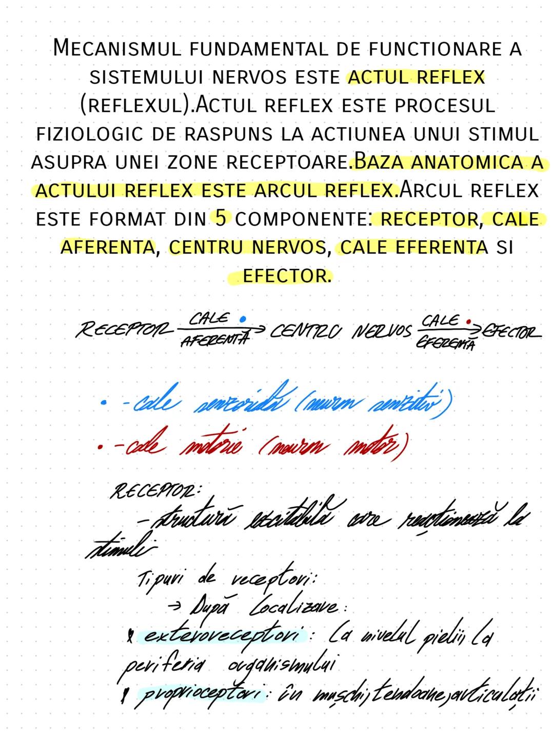 --- OCR Start ---
SISTEMUL NERVOS
HEY, YOU DROPPED
THIS
Clasificave:
din punct de vedere functional:
→SNS(sistem nervos simpatic)
→SNV(sist