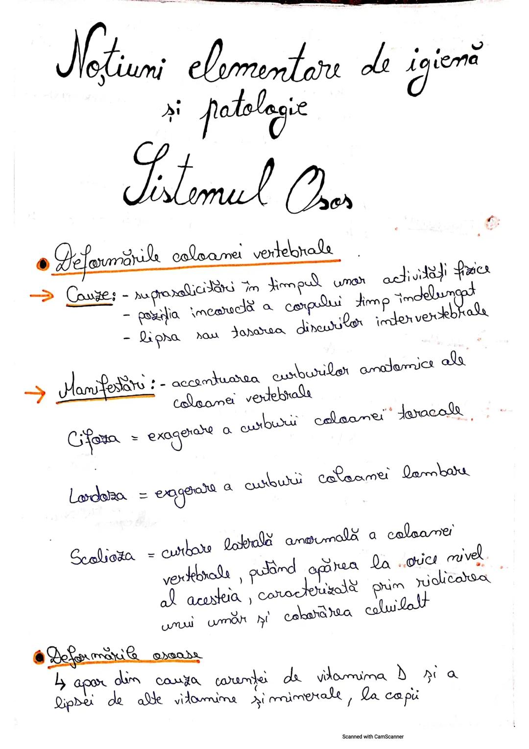 # Listemul Osos
• Reprezintă partea pasivă a mişcării
• Scheletul reprezintă totalitatea caselor, legate
între ele prim articulați
• Numă