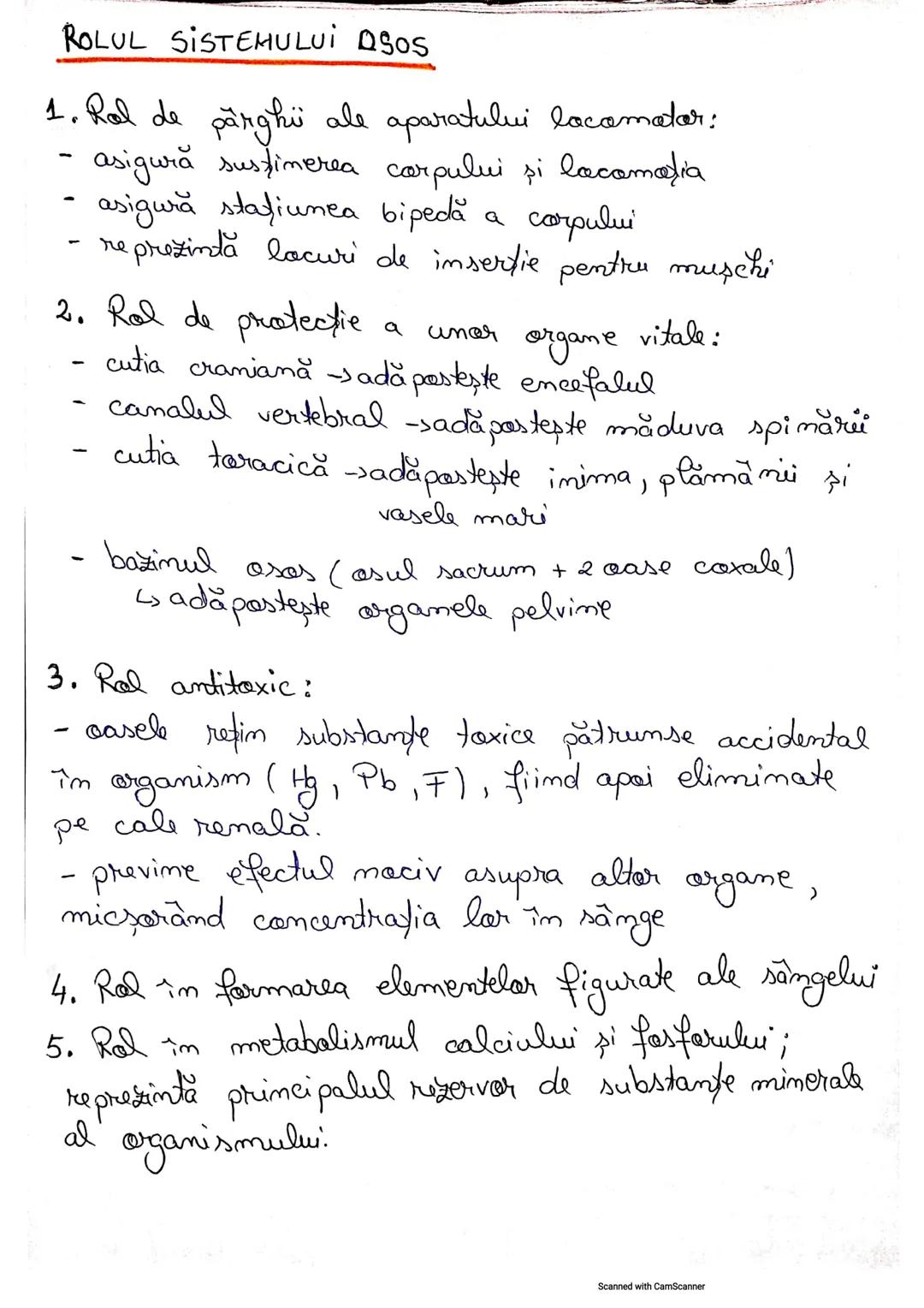 # Listemul Osos
• Reprezintă partea pasivă a mişcării
• Scheletul reprezintă totalitatea caselor, legate
între ele prim articulați
• Numă