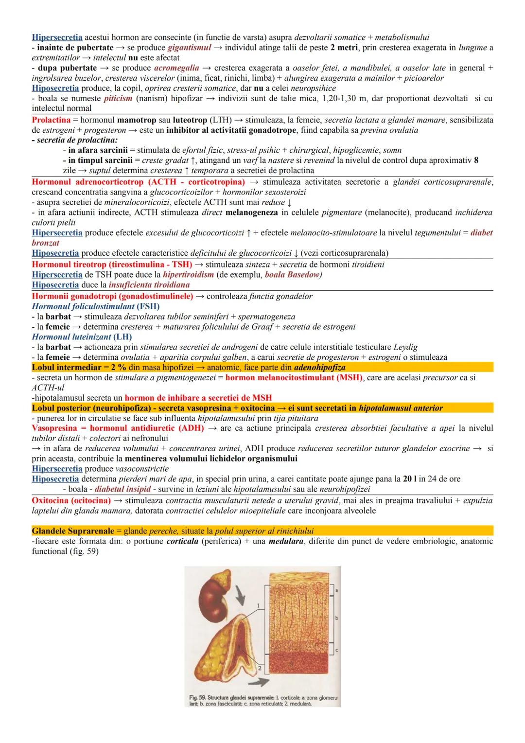 --- OCR Start ---
Glandele endocrine
= glandele cu secretie interna formate din epitelii secretorii, ale caror celule produc substante activ