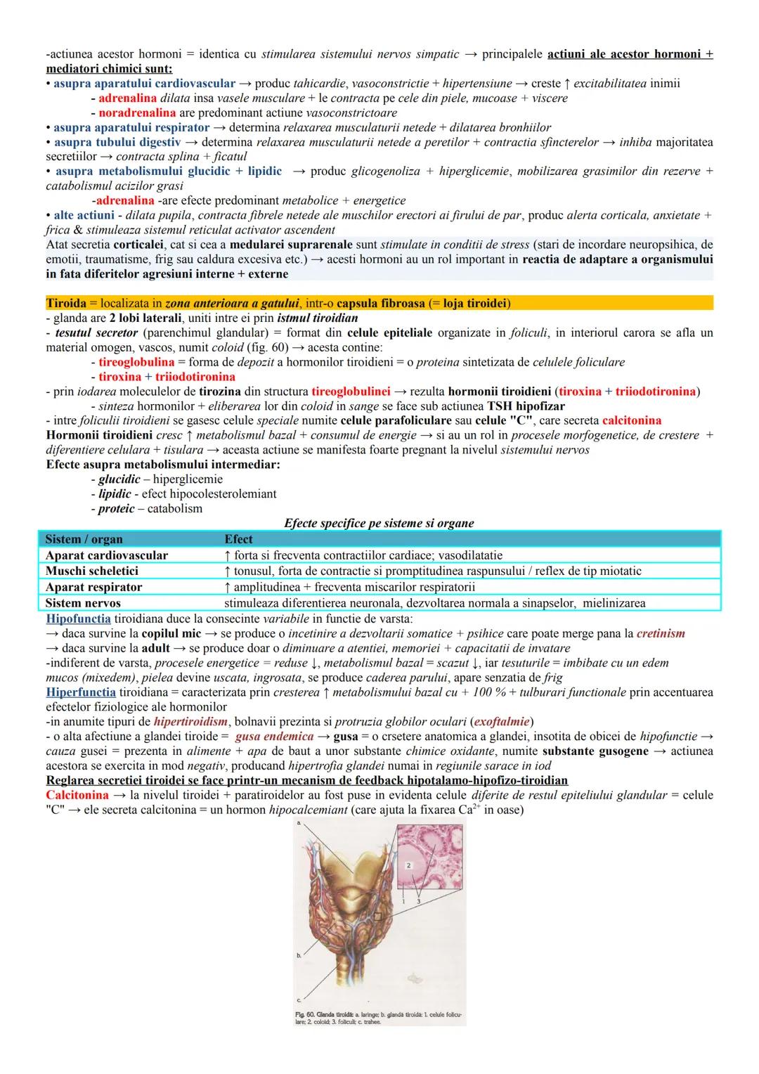 --- OCR Start ---
Glandele endocrine
= glandele cu secretie interna formate din epitelii secretorii, ale caror celule produc substante activ