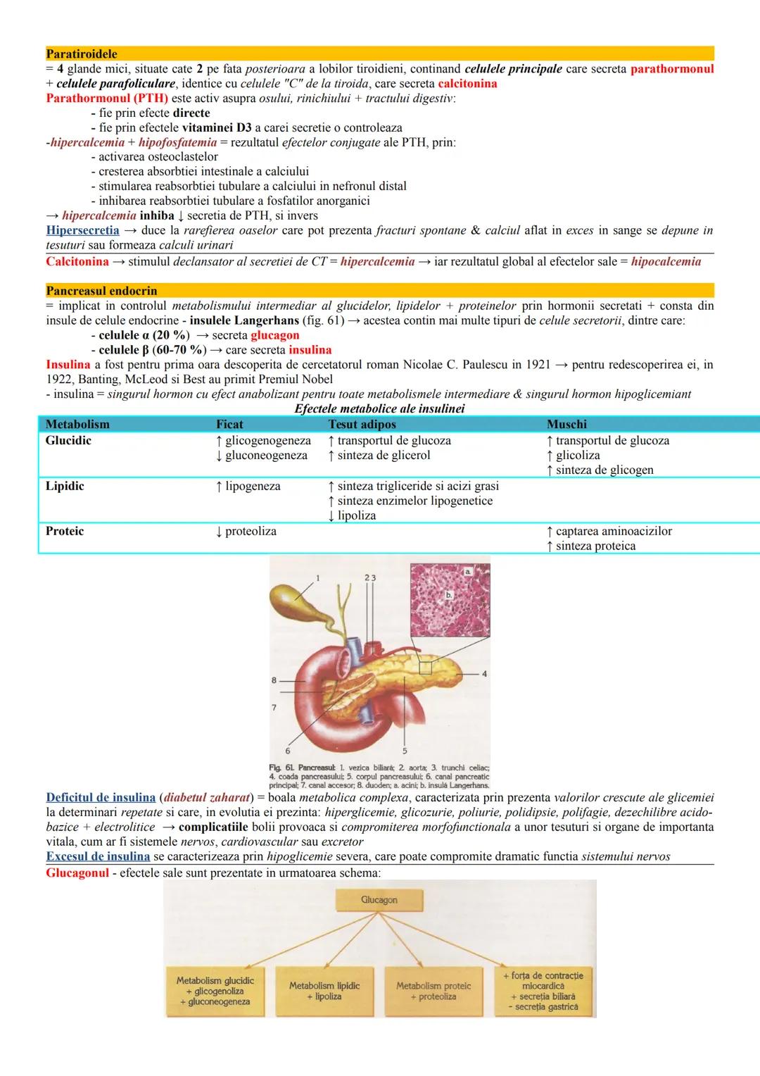 --- OCR Start ---
Glandele endocrine
= glandele cu secretie interna formate din epitelii secretorii, ale caror celule produc substante activ