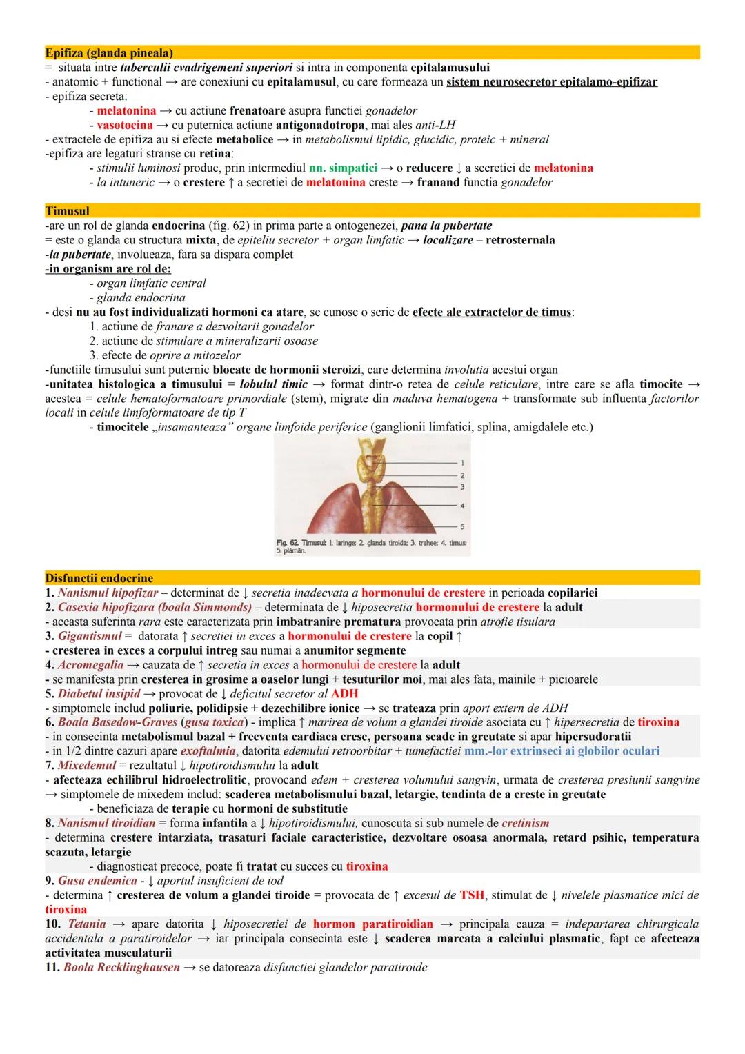 --- OCR Start ---
Glandele endocrine
= glandele cu secretie interna formate din epitelii secretorii, ale caror celule produc substante activ