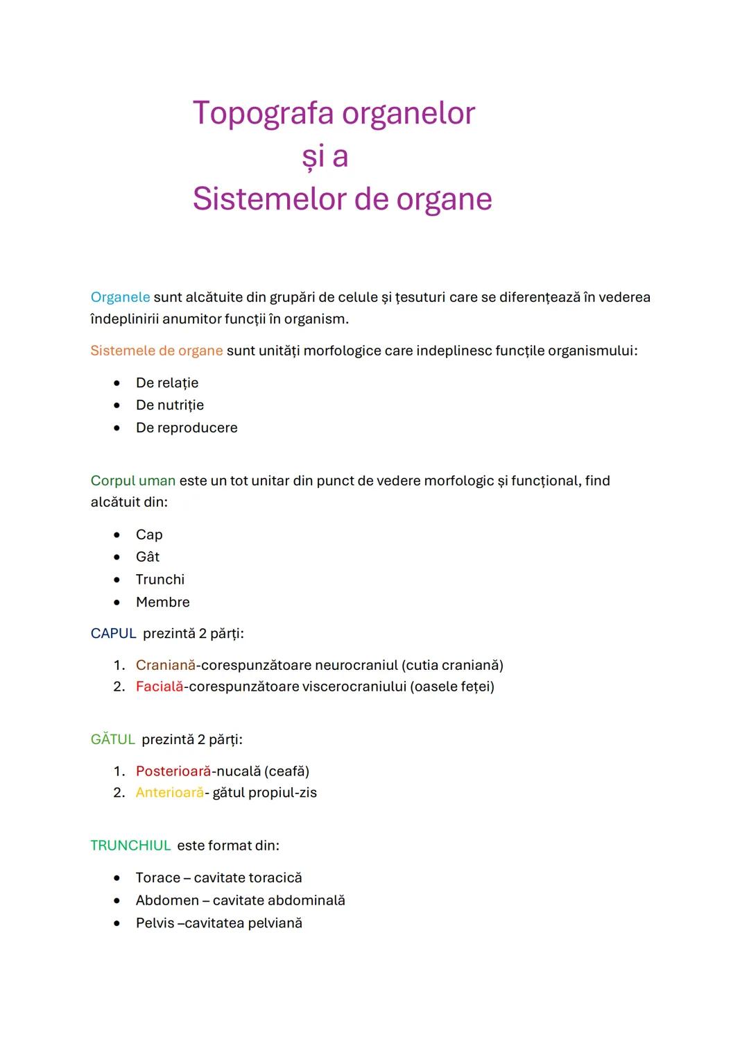 Topografia organelor și a sistemelor de organe