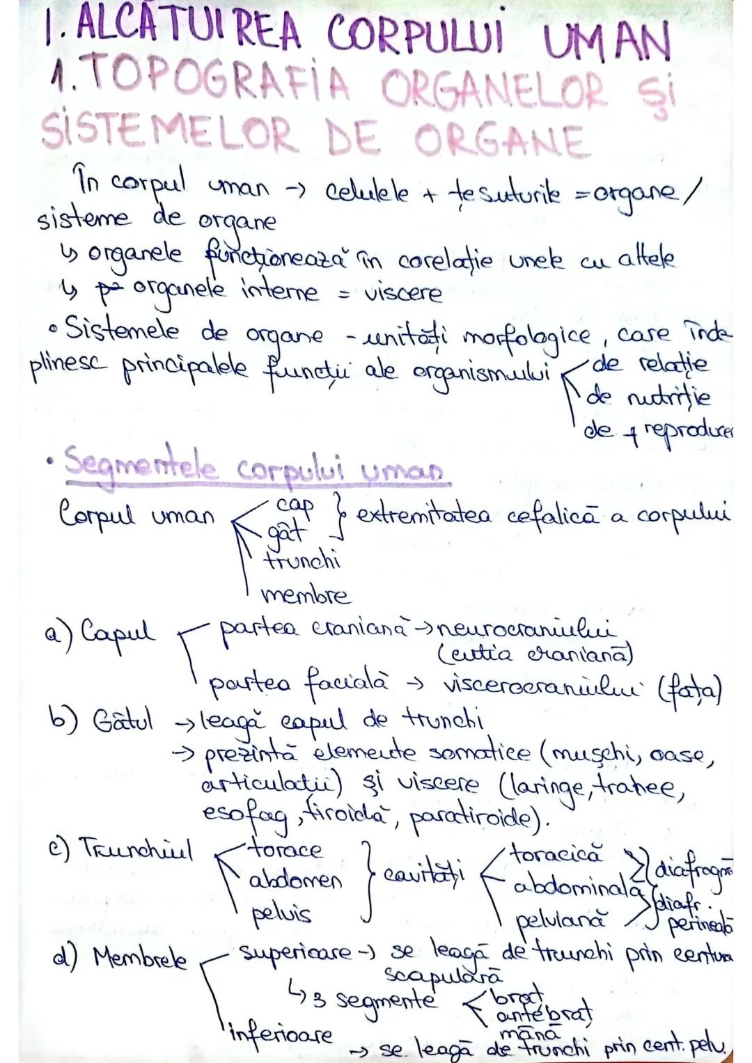 --- OCR Start ---
1. ALCATUIREA CORPULUI UMAN
1. TOPOGRAFIA ORGANELOR Şİ
SISTEMELOR DE ORGANE
In corpul uman → celulele + tesuturile = organ