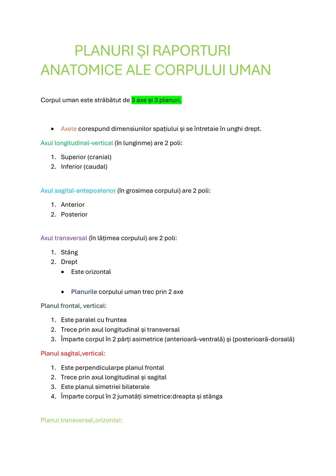 Planuri și raporturi anatomice ale corpului uman