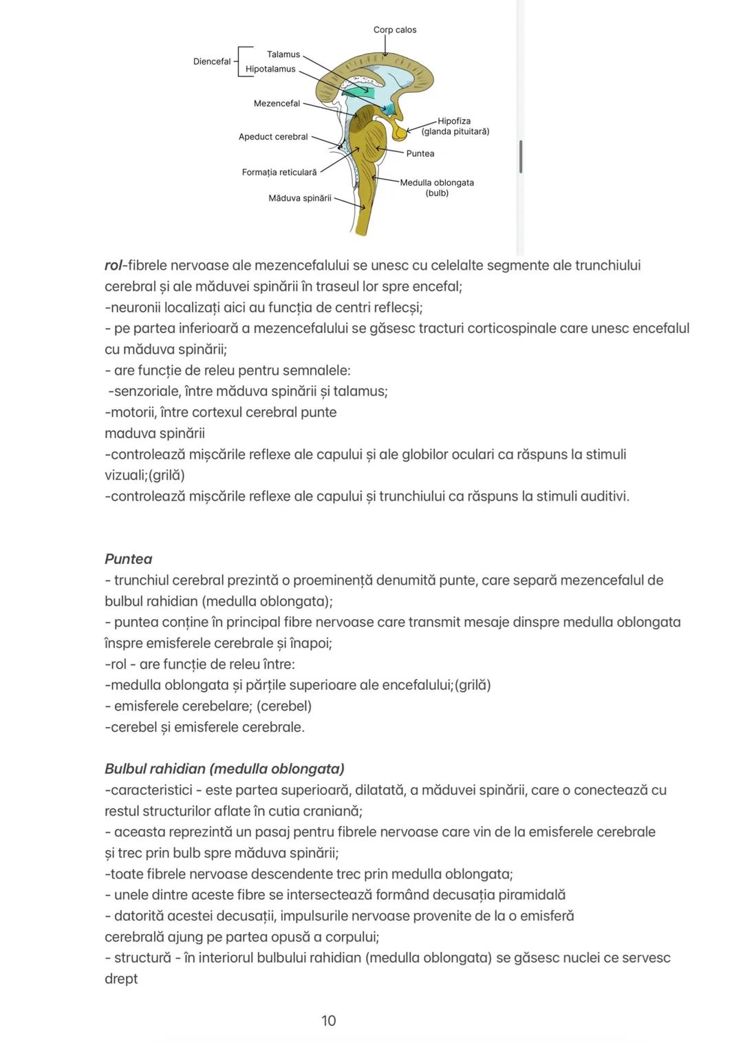 Capitolul 11 # CAPITOLUL XI
ORGANIZAREA SISTEMULUI NERVOS
Sistemul nervos uman are două mari subdiviziuni:
1. Sistemul nervos central-SNC
2