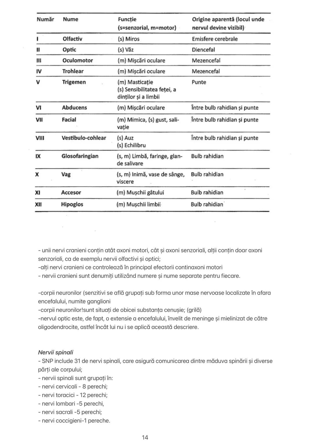 Capitolul 11 # CAPITOLUL XI
ORGANIZAREA SISTEMULUI NERVOS
Sistemul nervos uman are două mari subdiviziuni:
1. Sistemul nervos central-SNC
2