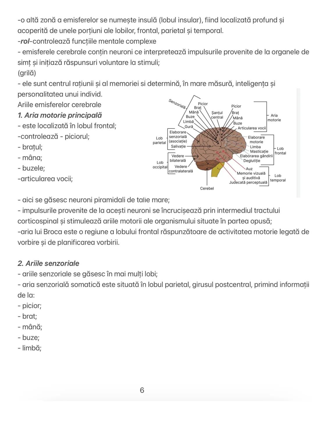Capitolul 11 # CAPITOLUL XI
ORGANIZAREA SISTEMULUI NERVOS
Sistemul nervos uman are două mari subdiviziuni:
1. Sistemul nervos central-SNC
2