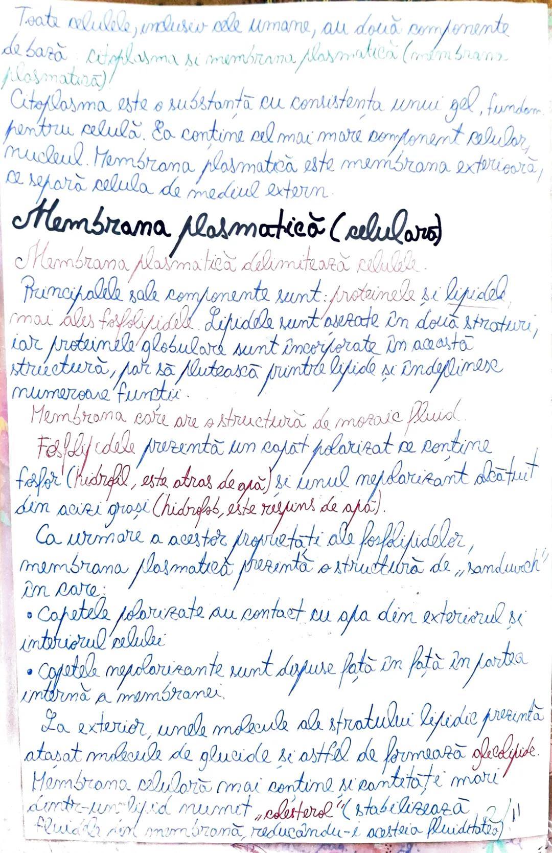 --- OCR Start ---
Similar organismelor vei, co
este cunoscut.
al biologuei
din celule. Acest concept es
un principiu de bază al.
Biblogia co