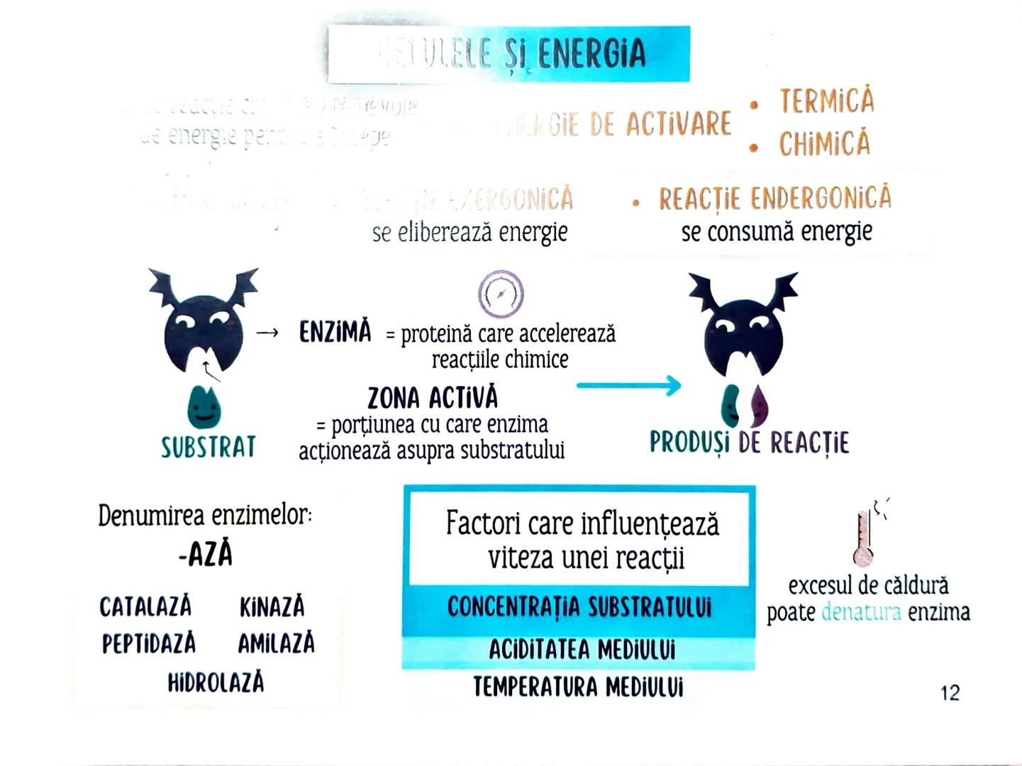 # MEDICINIST
to
# CELULELE ŞI
FIZIOLOGIA CELULARĂ --- OCR Start ---
Cele reprezinta un criteriu important de
Clasificare acorp. ismelor vii