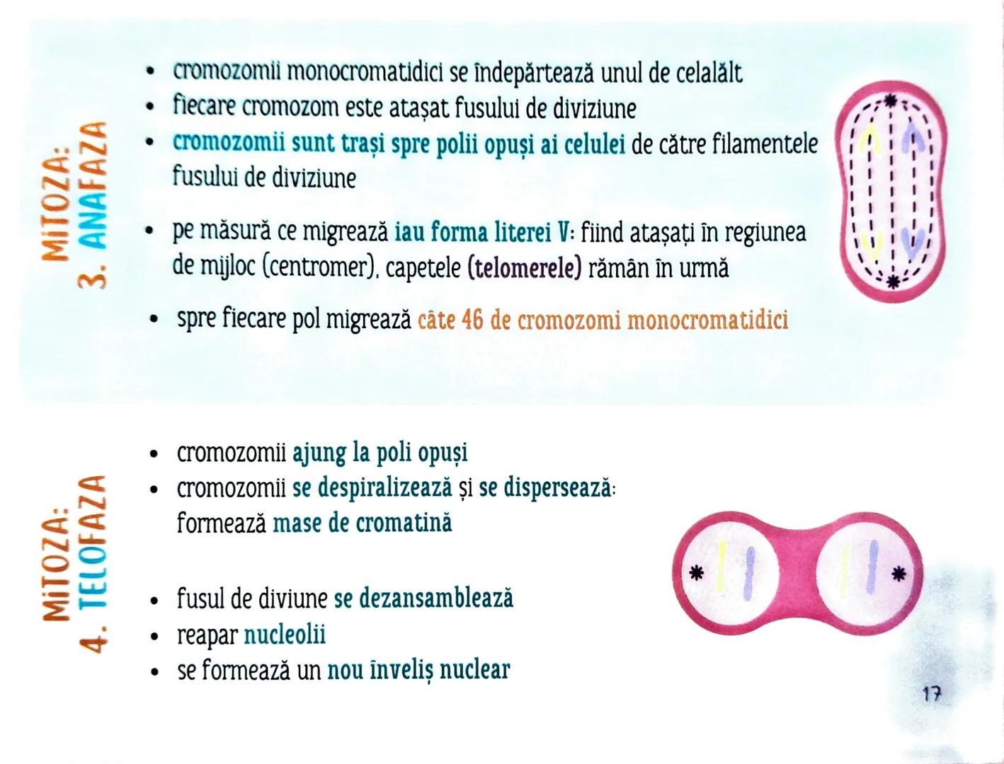 # MEDICINIST
to
# CELULELE ŞI
FIZIOLOGIA CELULARĂ --- OCR Start ---
Cele reprezinta un criteriu important de
Clasificare acorp. ismelor vii