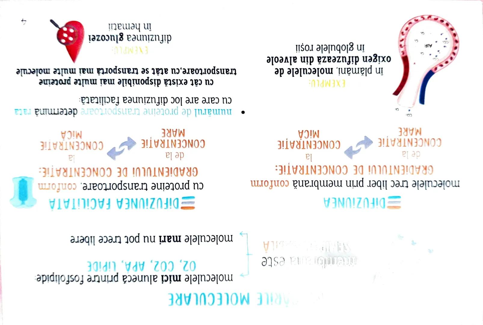 # MEDICINIST
to
# CELULELE ŞI
FIZIOLOGIA CELULARĂ --- OCR Start ---
Cele reprezinta un criteriu important de
Clasificare acorp. ismelor vii