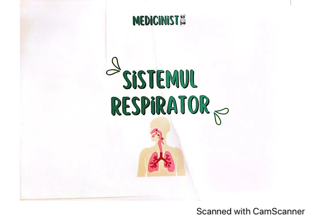 Sistemul respirator