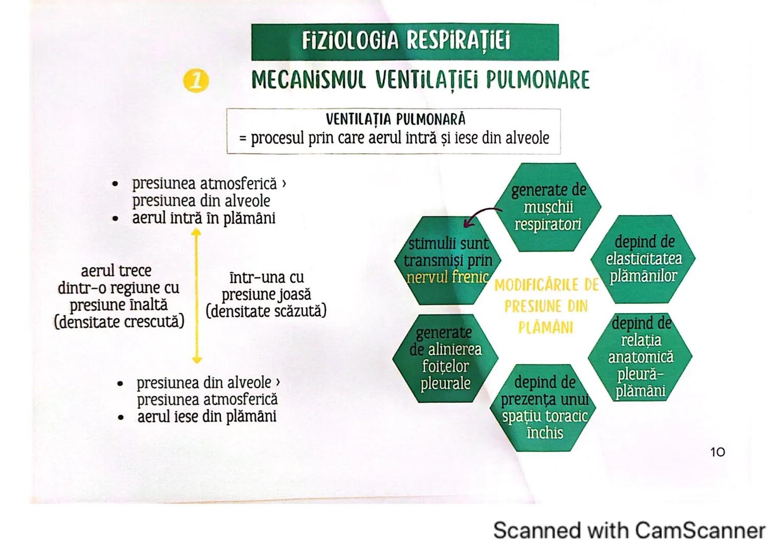 # MEDICINIST<sup>to be</sup>
SISTEMUL
RESPIRATOR
Scanned with CamScanner --- OCR Start ---
FARINGE
ORGANELE ȘI STRUCTURILE SISTEMULUI RESP