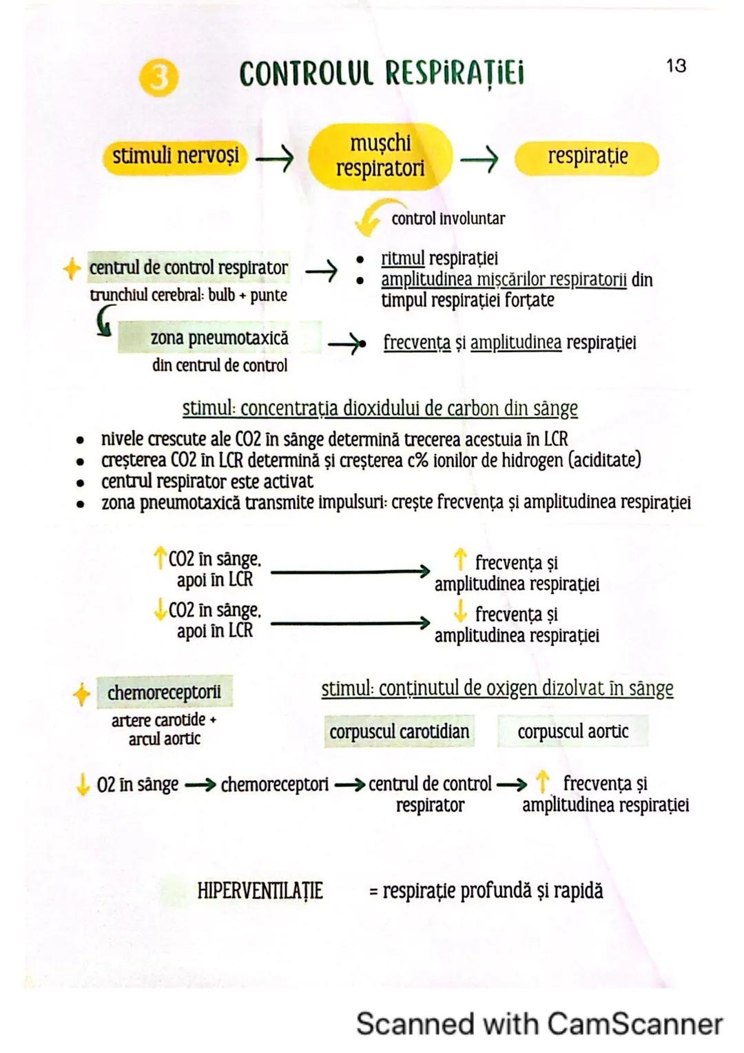 # MEDICINIST<sup>to be</sup>
SISTEMUL
RESPIRATOR
Scanned with CamScanner --- OCR Start ---
FARINGE
ORGANELE ȘI STRUCTURILE SISTEMULUI RESP